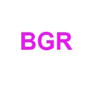 Team Page: BGR - Deb Anderson